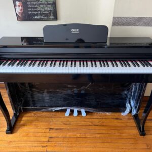 PIANO DIGITAL ORGUE 88 TECLAS PESADA MARTILLO