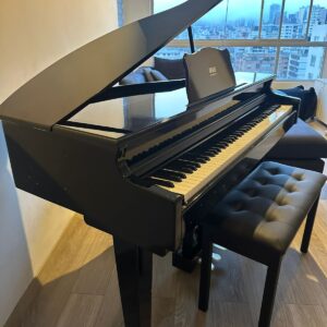 PIANO DIGITAL DE COLA ORGUE 88 TECLAS PESADA MARTILLO